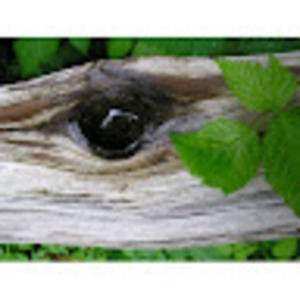 Meet your Posher, Peter